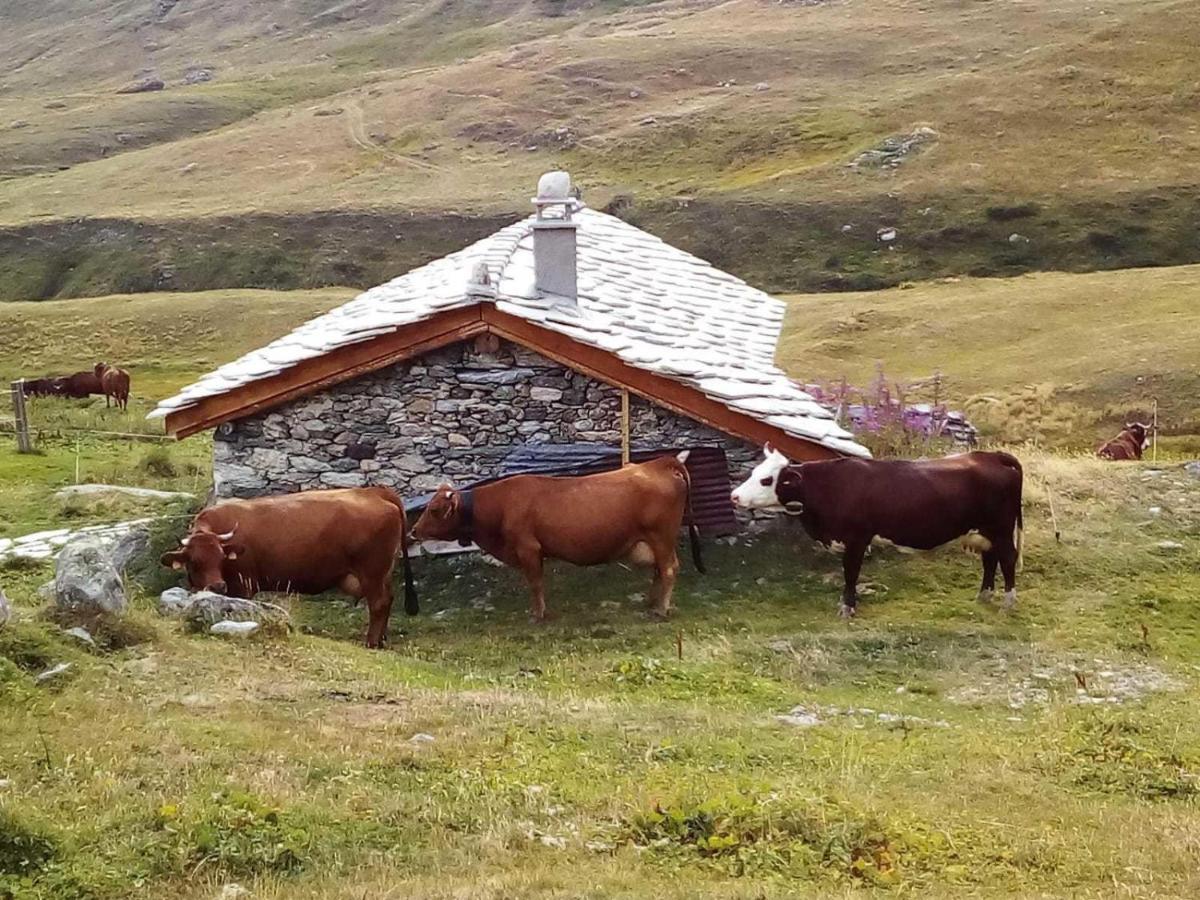 Les Balcons Proche Parc National Vanoise Appartements 2 Pieces 6 Pers Montagne Superieur 테르미뇽 외부 사진