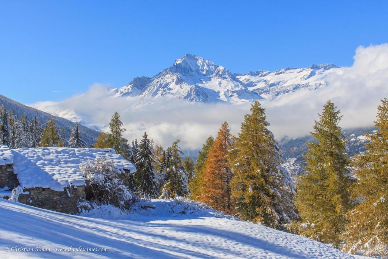 Les Balcons Proche Parc National Vanoise Appartements 2 Pieces 6 Pers Montagne Superieur 테르미뇽 외부 사진